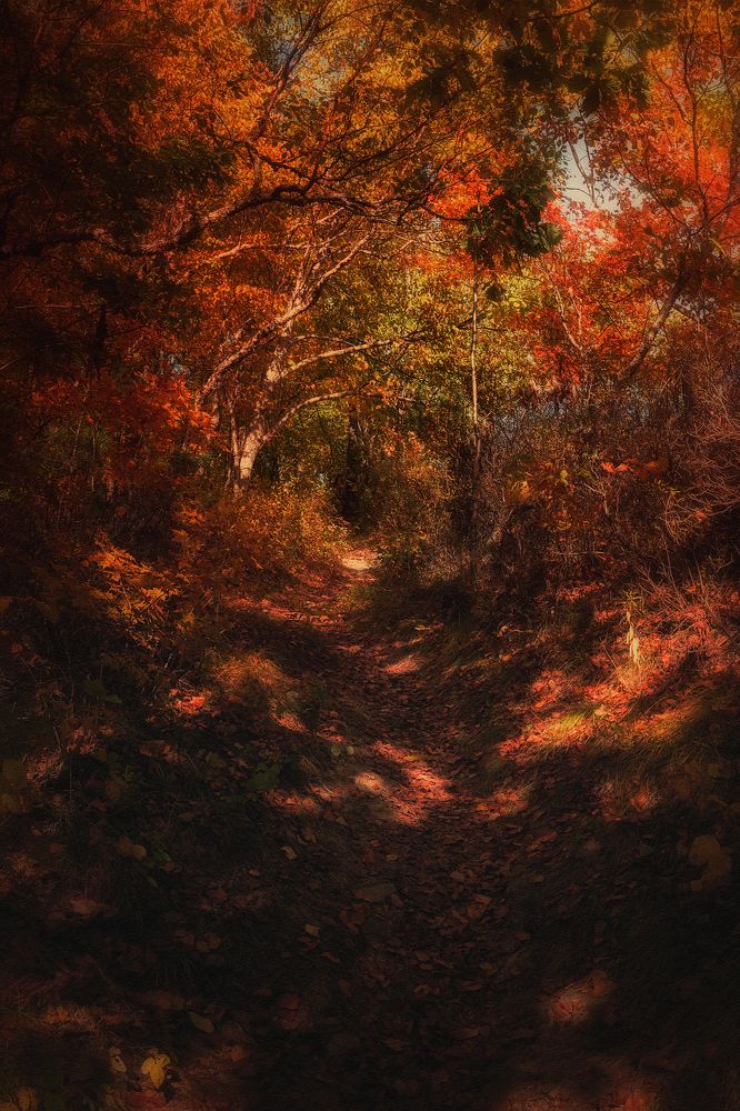 Photograph by Максим Сиротинин