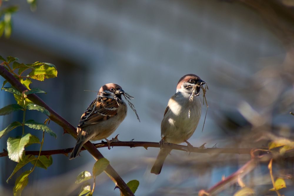 Photograph by Андрей Мольков