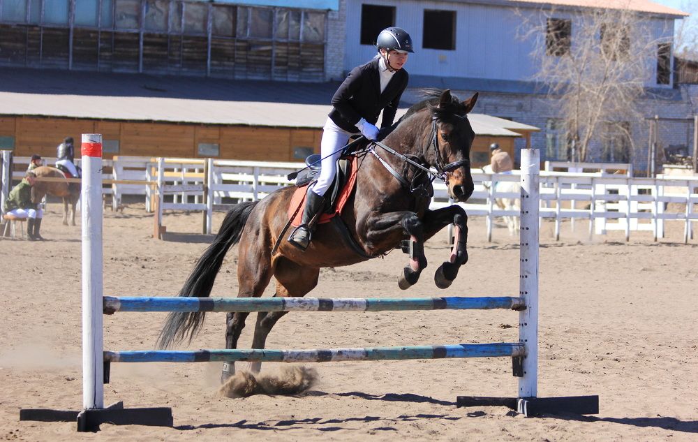 Photograph by Геннадий Лосев