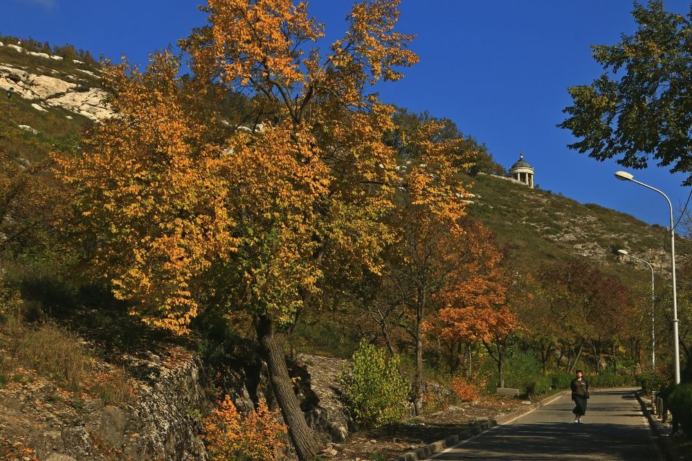 Photograph by Игорь Куленко