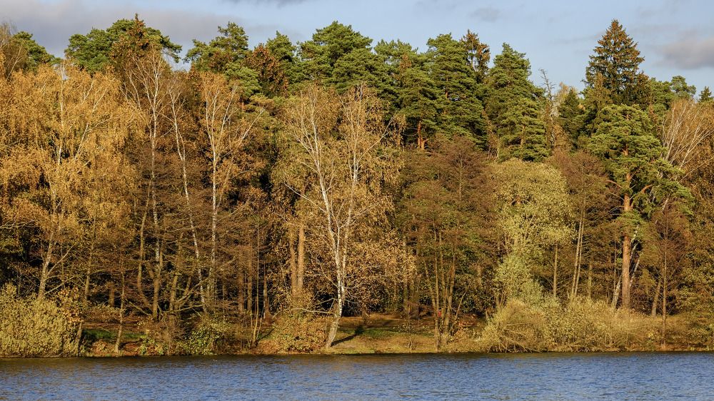 Photograph by Василий Арлашов