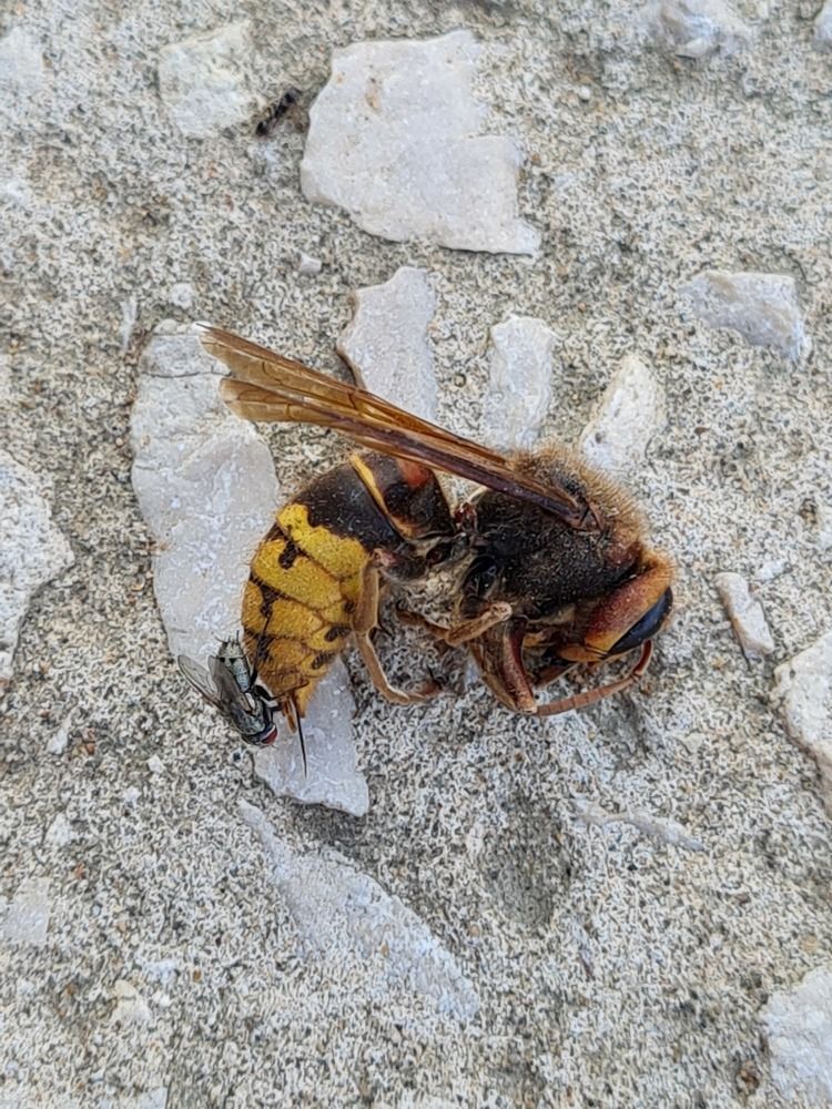 Photograph by Tatiana Denisova