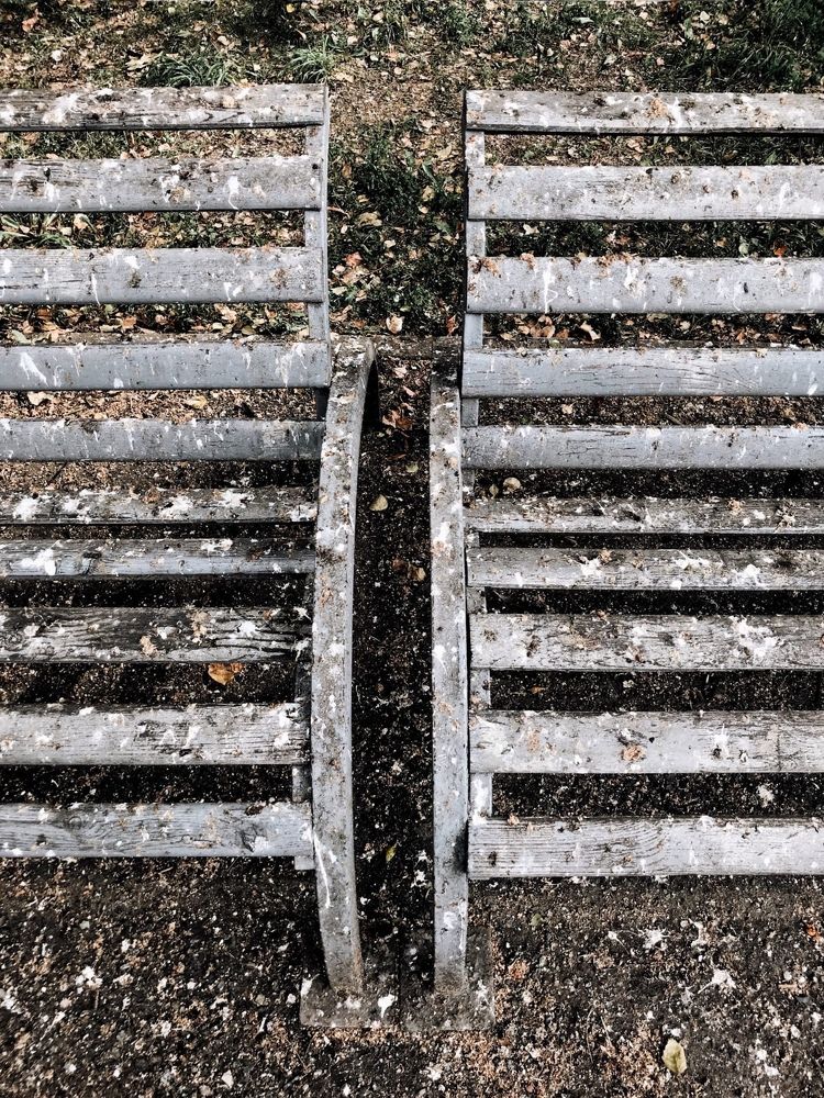 Photograph by Natalya Stepanova