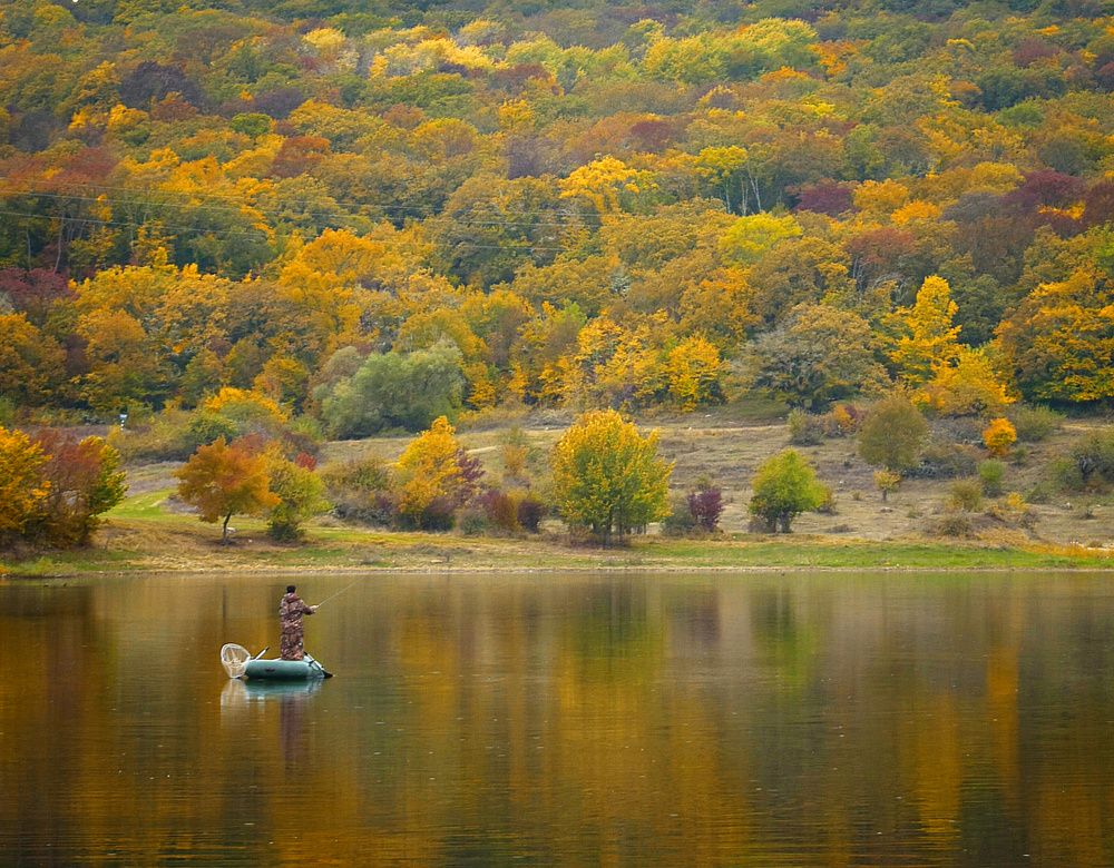 Photograph by Екатерина Гордеева