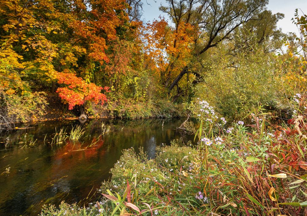 Photograph by Сергей Степанов