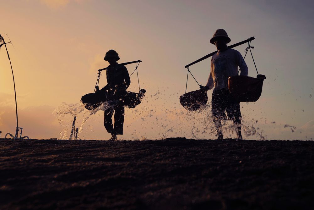 Photograph by Purbaningrum Sasmita