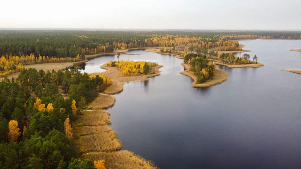 Photograph by МИХАИЛ ЛОГАШОВ