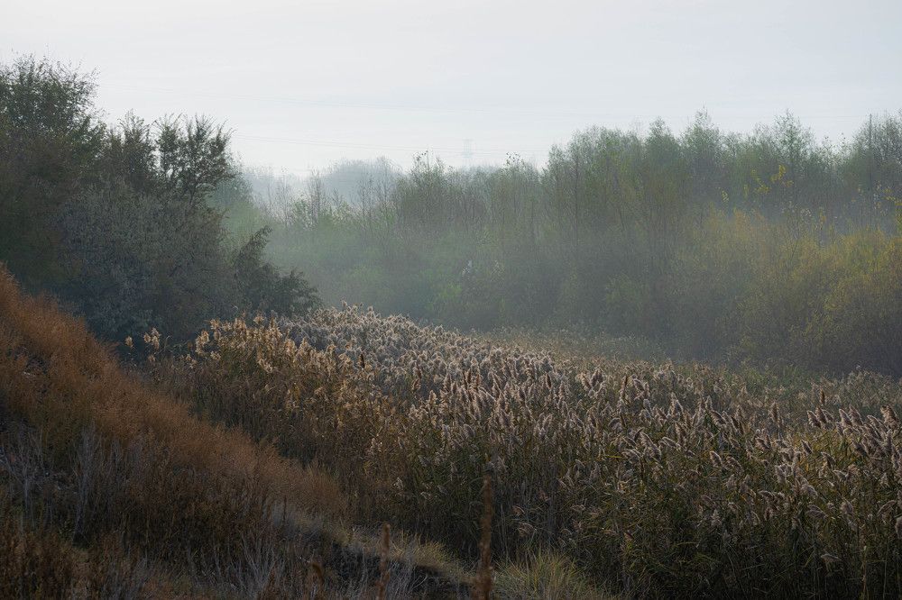 Фотография автора Денис Краснощеков