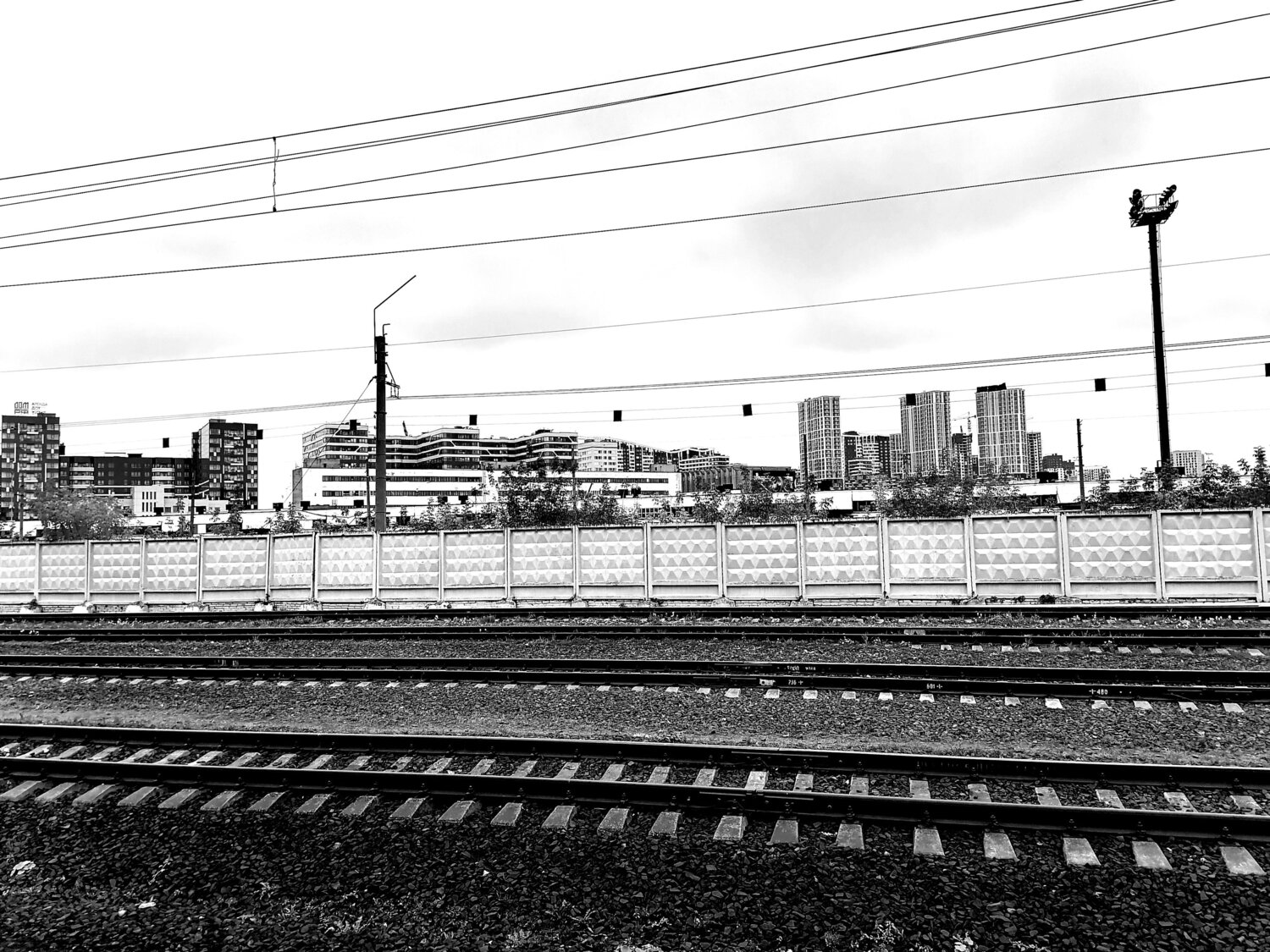 Photo #6596075