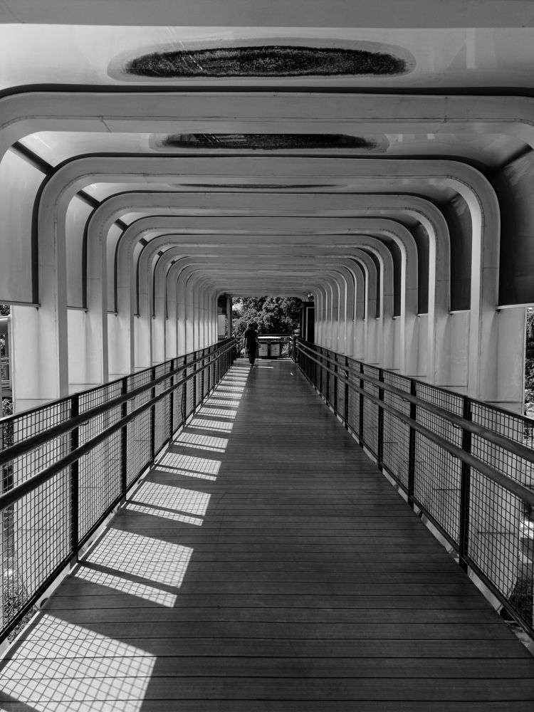 Photograph by Benny Momor