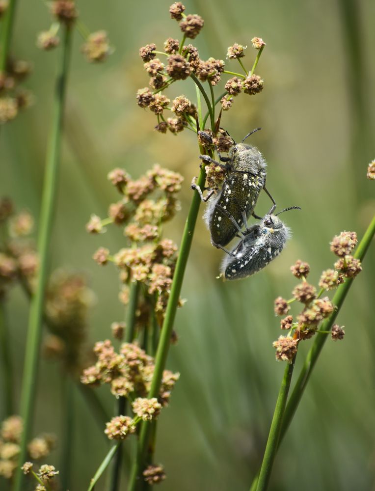 Photograph by MOUHCINE AJDI