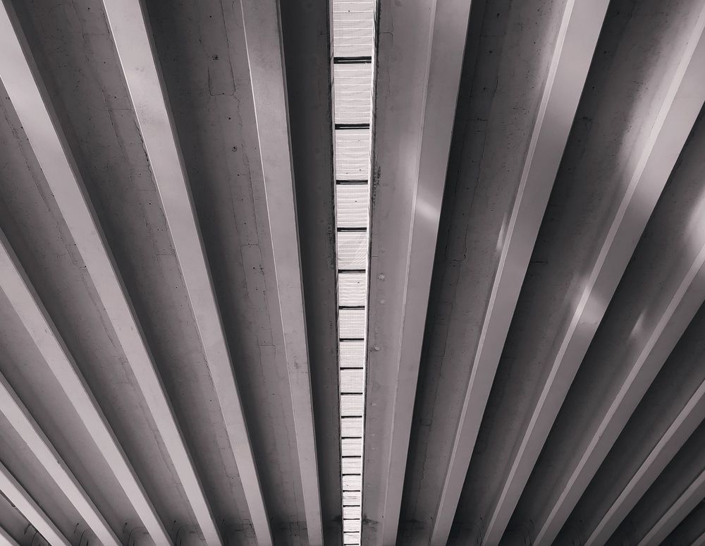 Photograph by Ирина Половцева