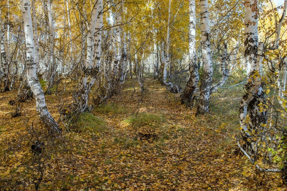 Photograph by Валерий Федяров