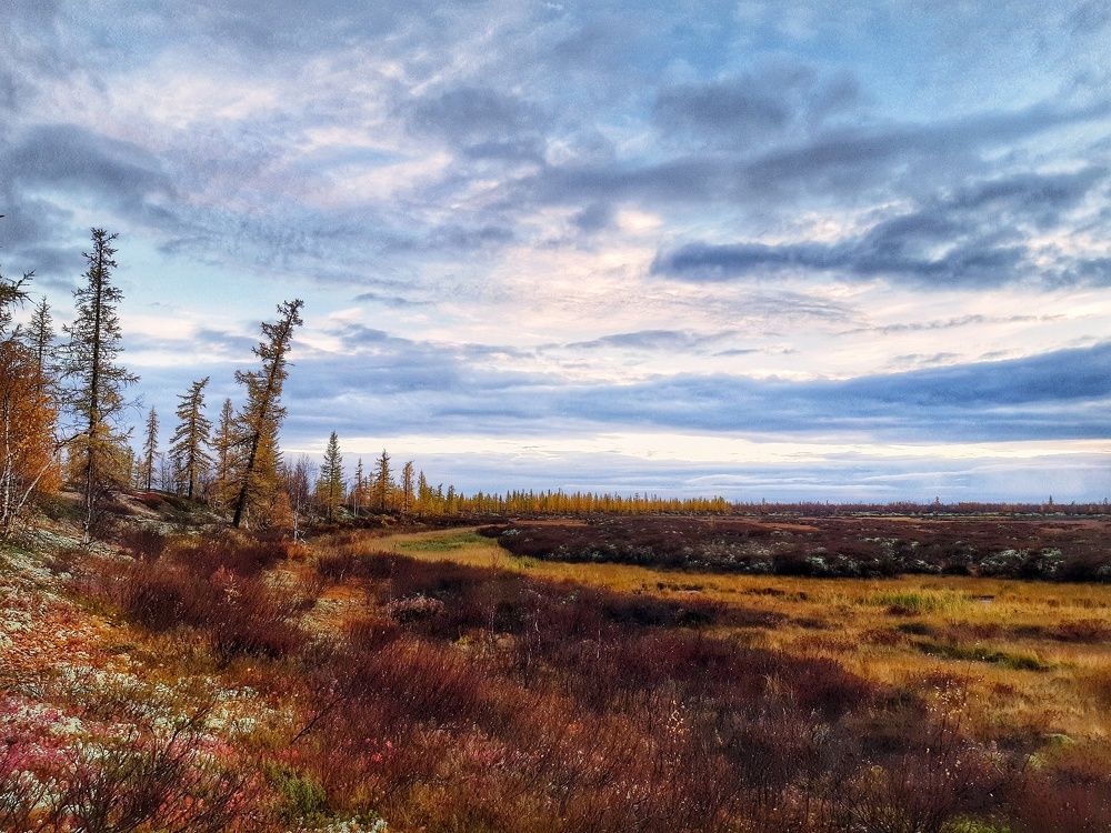 Фотография автора Савченко Наталия