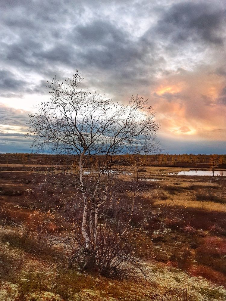 Фотография автора Савченко Наталия