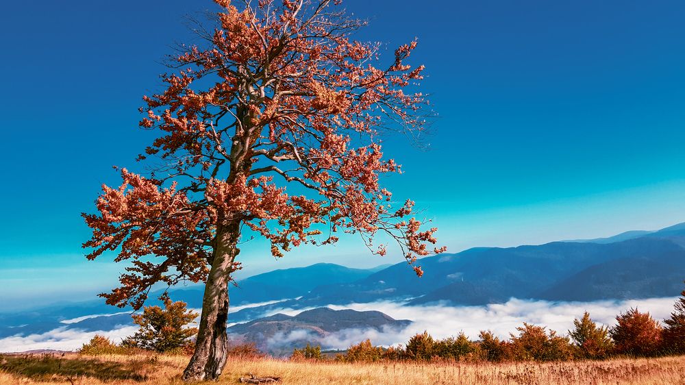 Photograph by Iгор Ситар