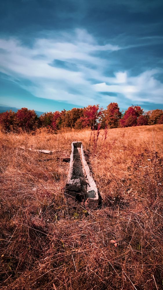 Photograph by Iгор Ситар