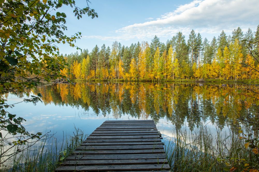 Photograph by Aimo Liuska