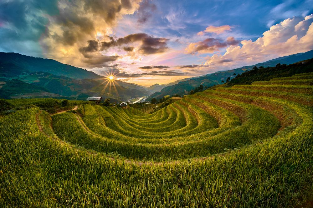 Photograph by Lê Huy Anh