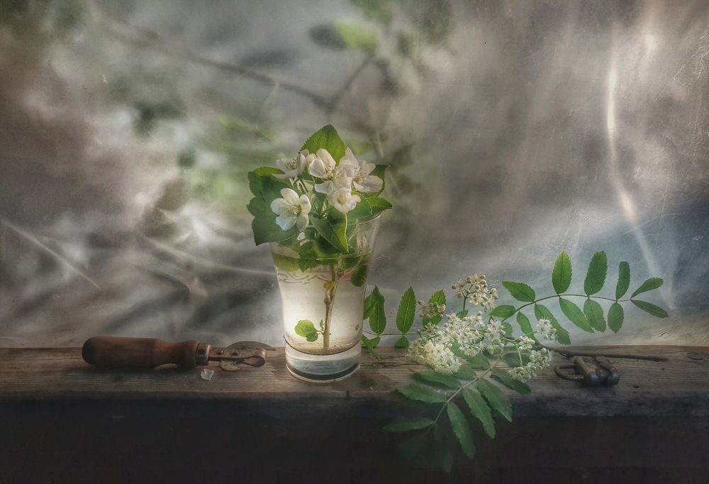 Photograph by Игорь