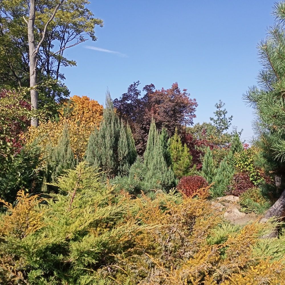 Photograph by Адамян Анна