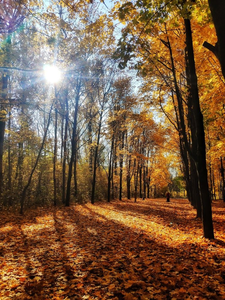 Photograph by Анна Корнейко