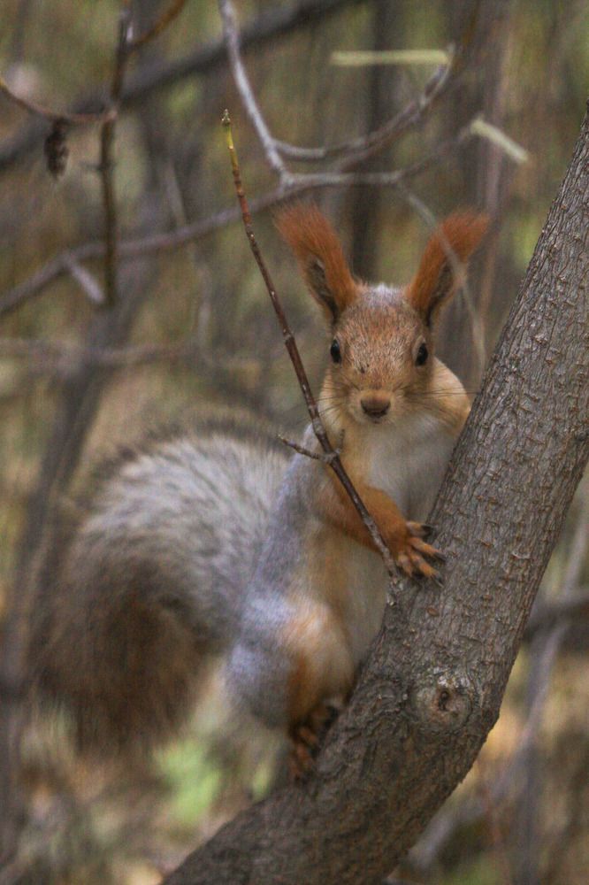 Photograph by Жанна Цветкова