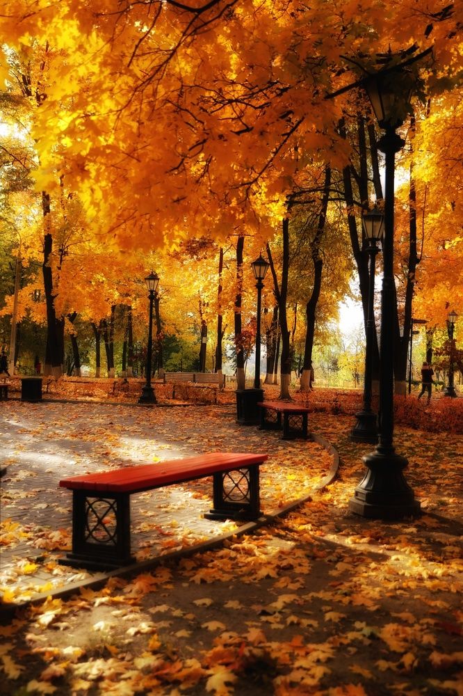 Photograph by Анна Корнейко