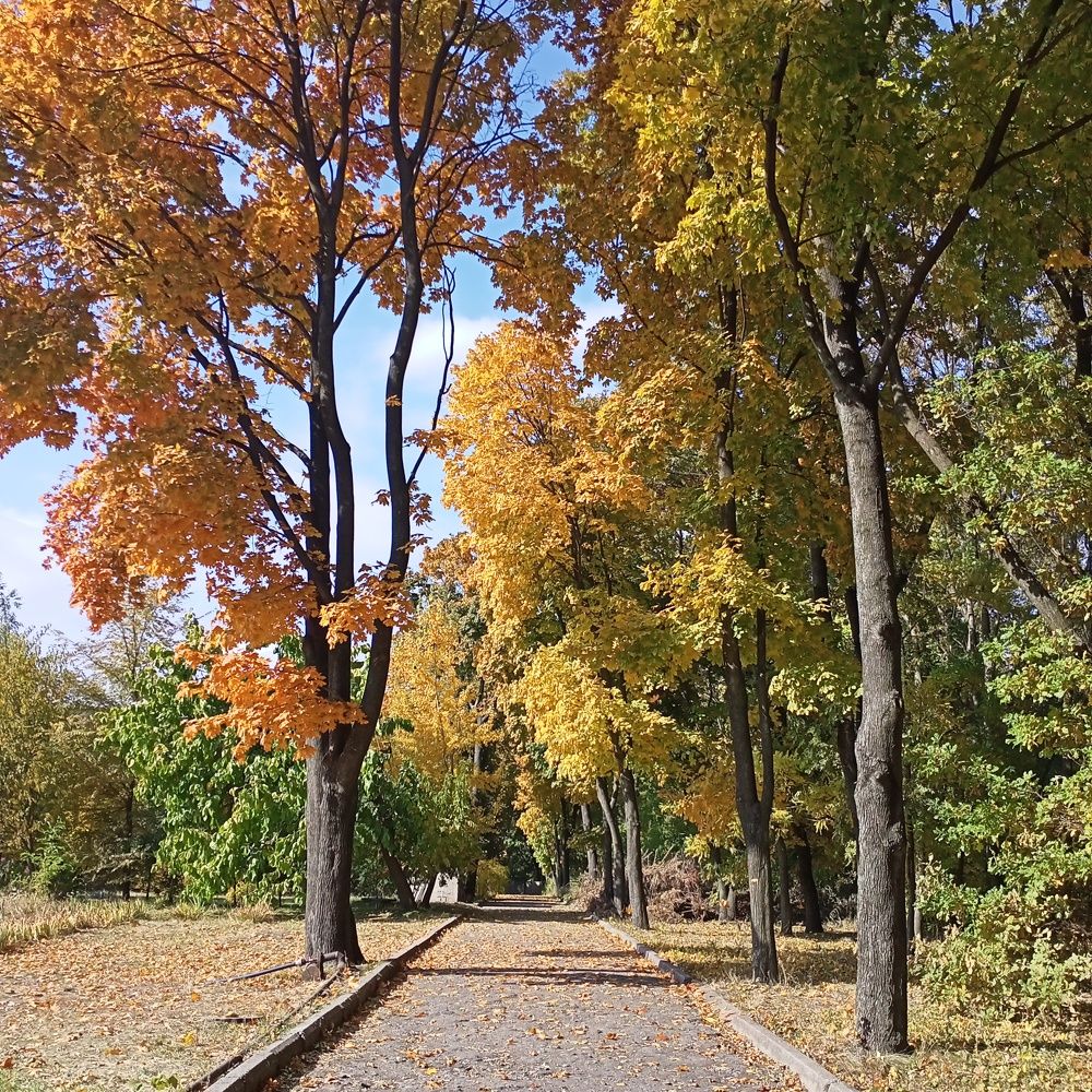 Photograph by Адамян Анна