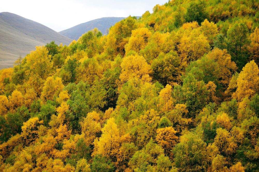 Photograph by Глухоманюк Галина