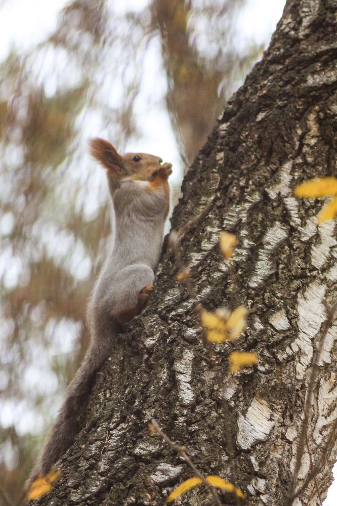 Photograph by Жанна Цветкова