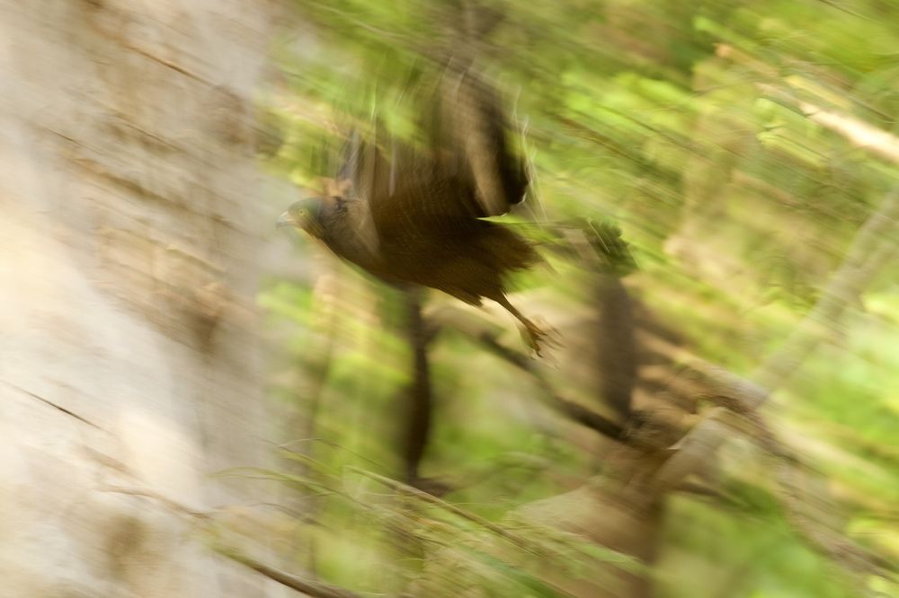 Фотография автора Tushar Bhogle