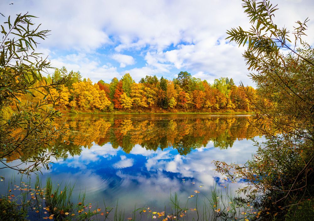 Photograph by Сергей Забиякин