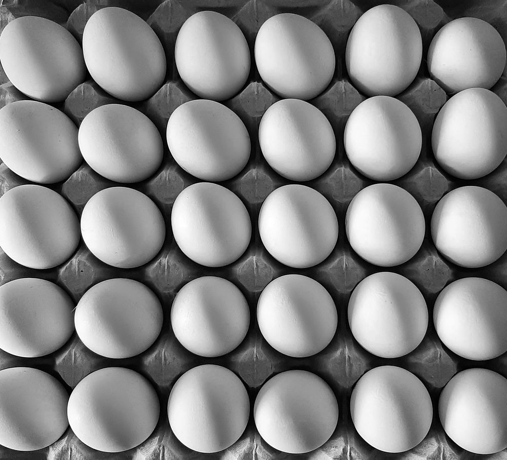 Photograph by Elena Kalinichenko