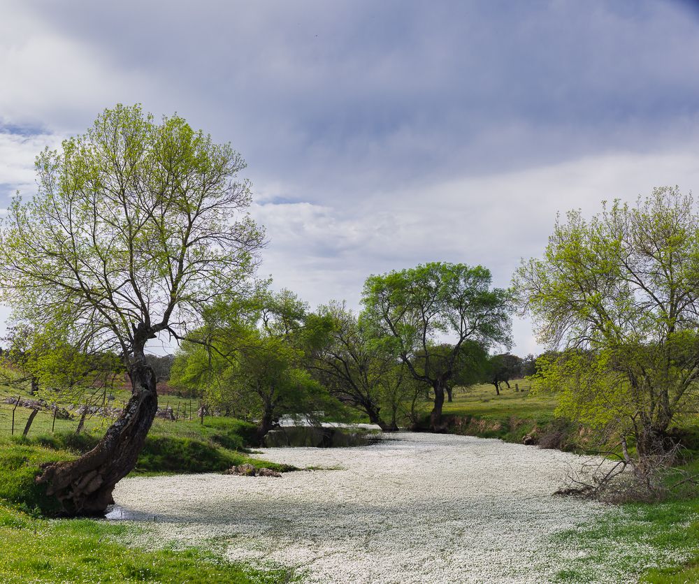 Photograph by Luis Miguel Rivas