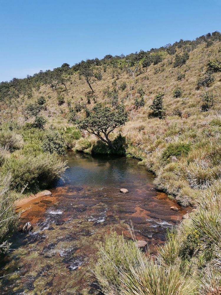 Horton Plains