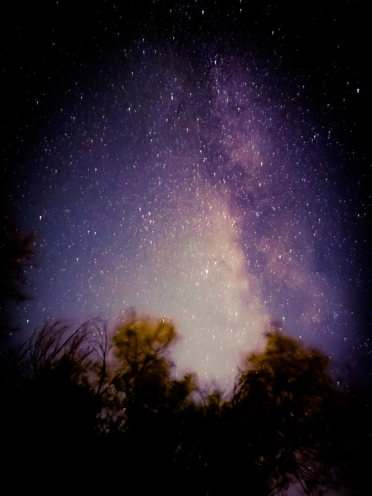 Photograph by Lorne bear