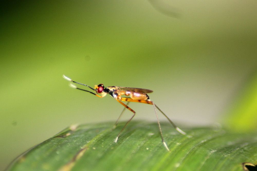 Photograph by Nimesha Perera