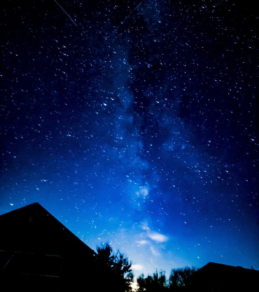 Photograph by Lorne bear