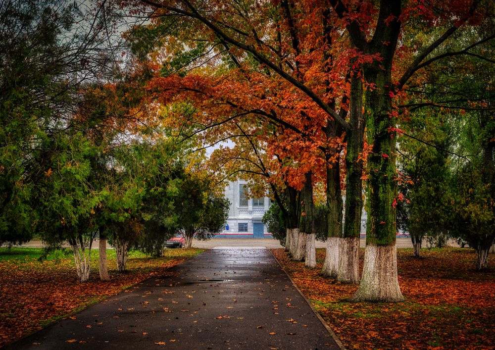 Photograph by Владимир Кваша
