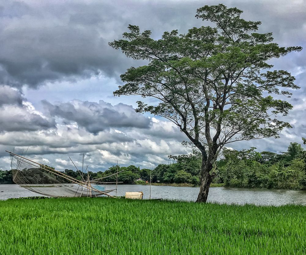 Rural view of Bangladesh ??