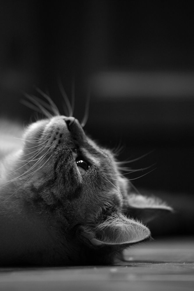 Photograph by Юлия Евграфова