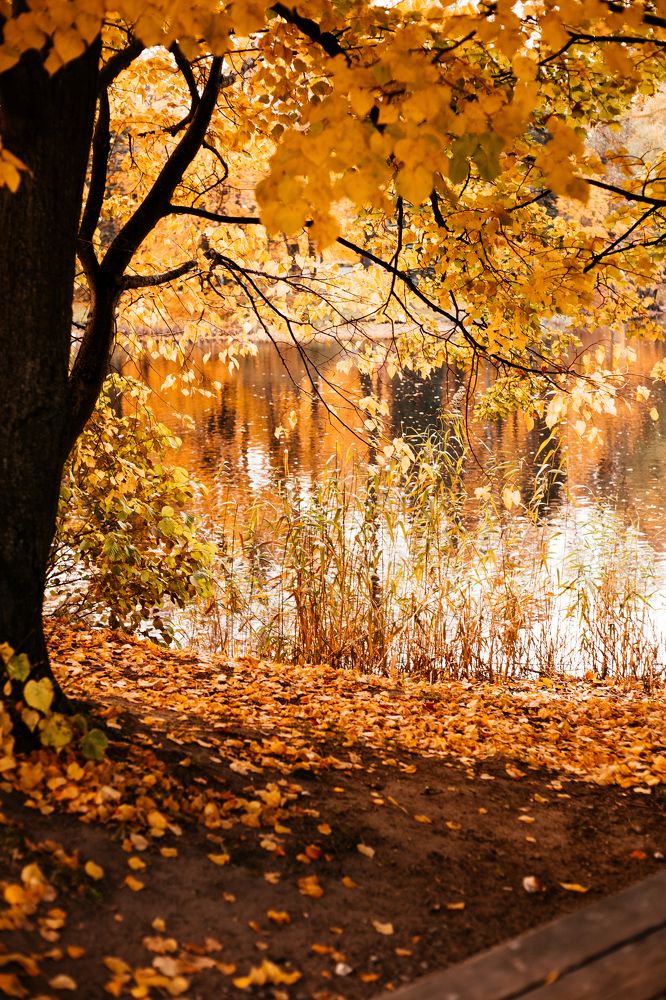 Photograph by Marina Moreva