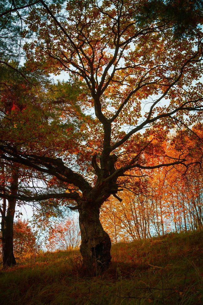 Photograph by Николай Астанин