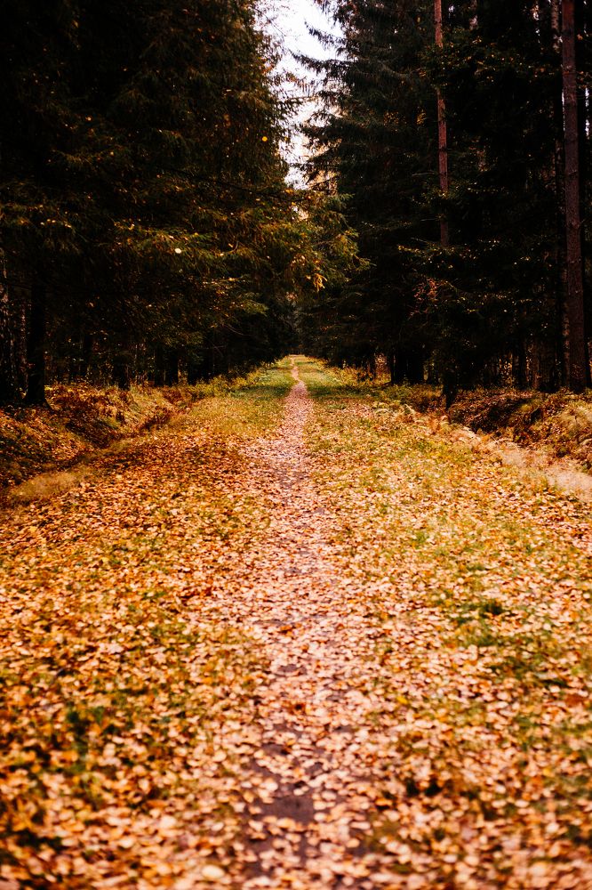 Photograph by Marina Moreva