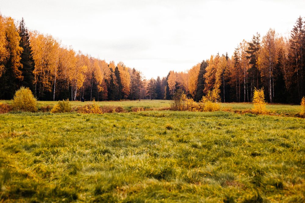 Photograph by Marina Moreva