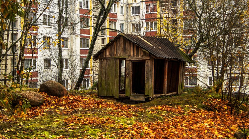 Фотография автора Юрий Цыркунов