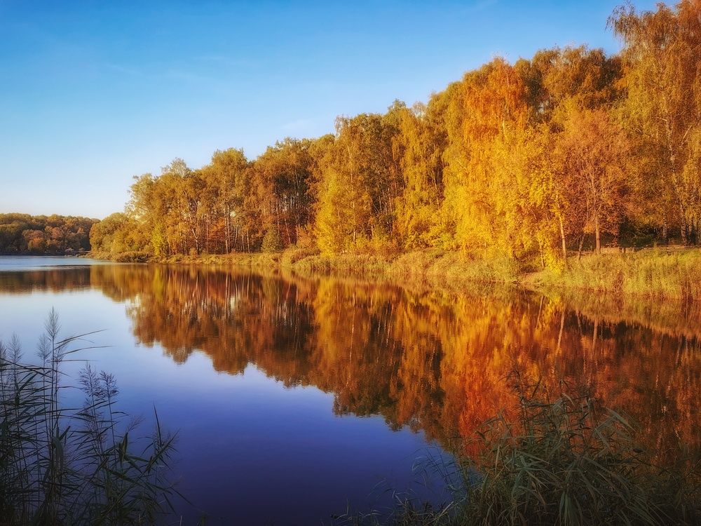 Photograph by Надежда Никитина