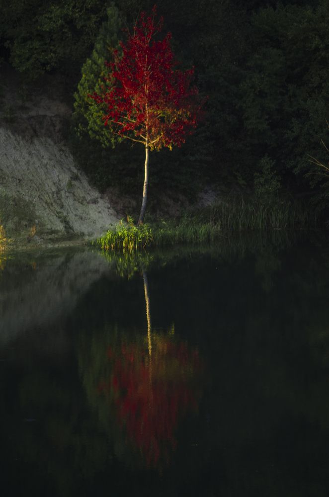 Photograph by Андрей Емельянов