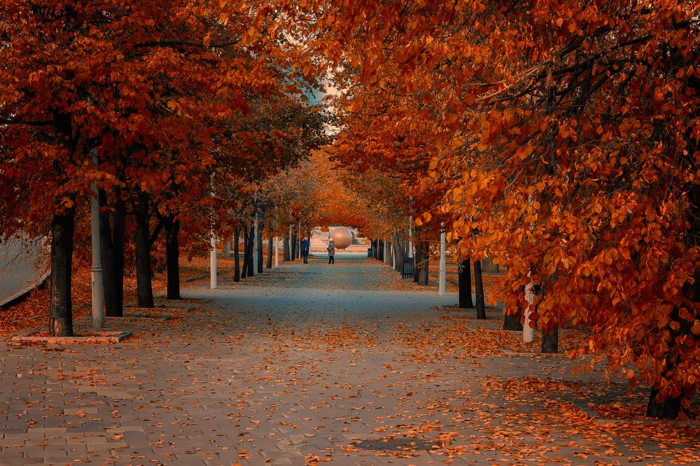 Photograph by Геннадий Федоров